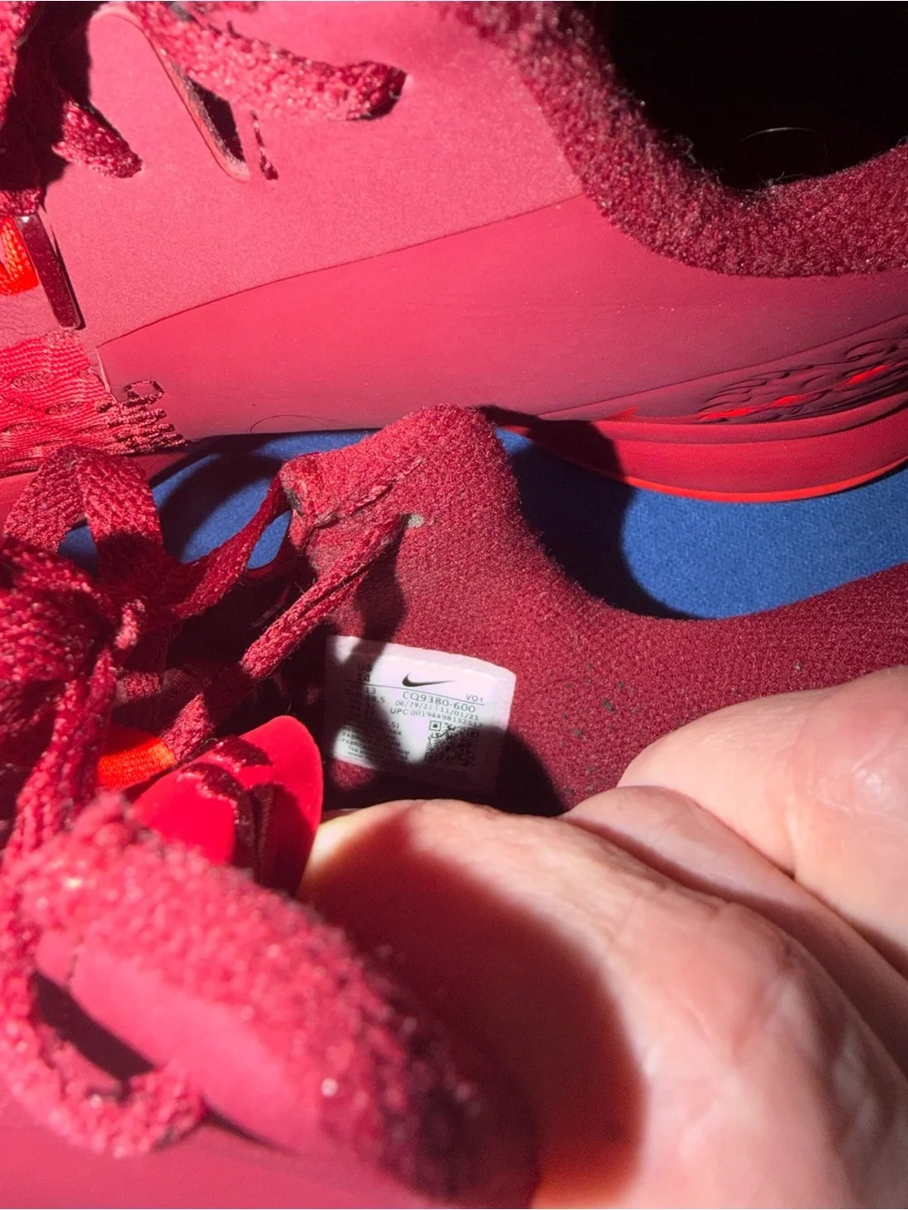 Nike LeBron James shoes